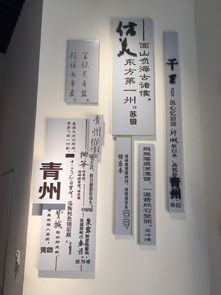 新春齐鲁行 天鹅与古城的约会