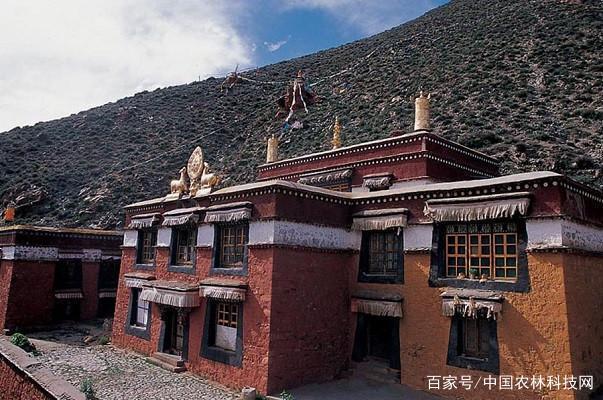 一县一品公益助农 雪域神山下的馈赠——南木林艾玛土豆与手工艺之光